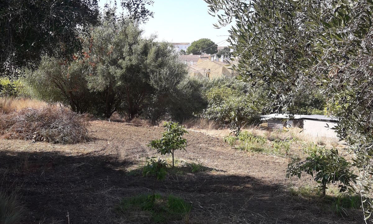 Finca - Cortijo for sale in Málaga Estepona Costa del Sol Spain - Jacques Olivier Marbella
